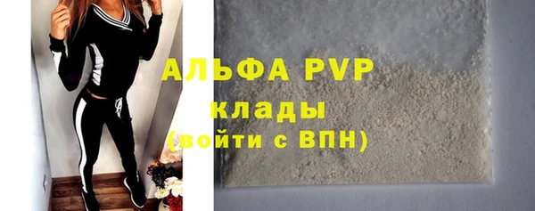 дмт Белокуриха