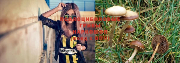 дмт Белокуриха