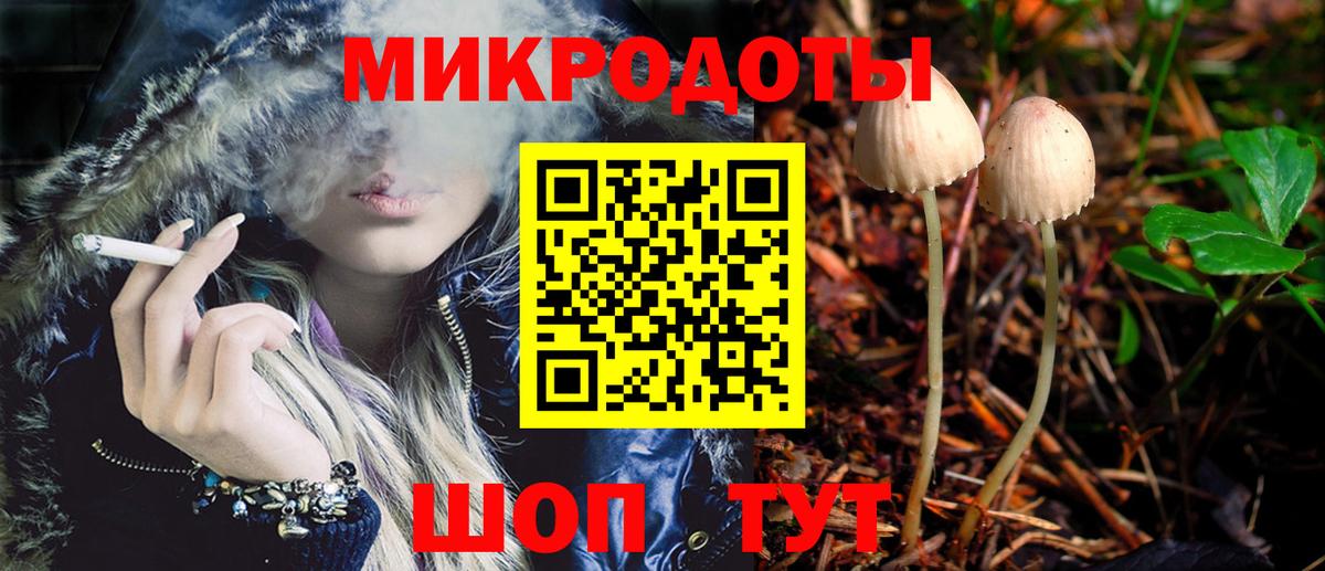 Кунгур  Галлюциногенные грибы Psilocybine cubensis  Вход с VPN 