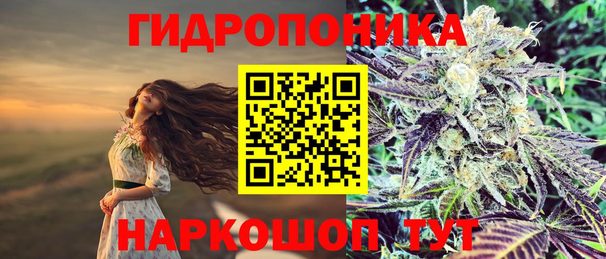 Конопля AK-47  Вход с VPN  Бошки Шишки ГИДРОПОН  Кунгур  Марихуана Bruce Banner  Бошки марихуана гибрид 